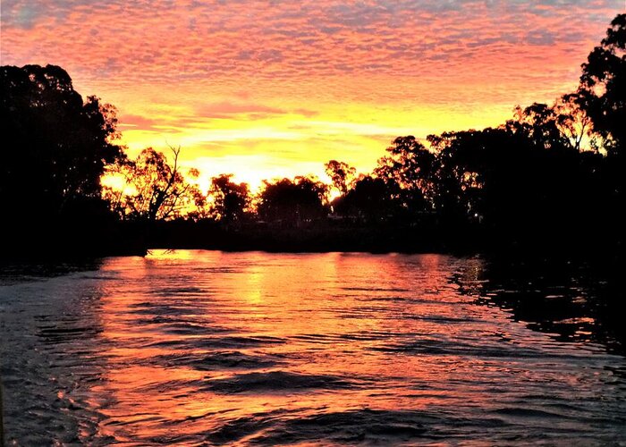 Echuca Greeting Card featuring the photograph Sunset on the Murray River by Yolanda Caporn