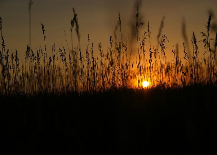 Plains Greeting Card featuring the photograph Sunset on the plains by Jeff Swan