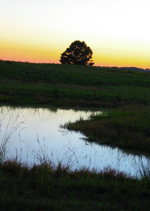 Sunset Greeting Card featuring the photograph Sunset Pond by Judith Lauter