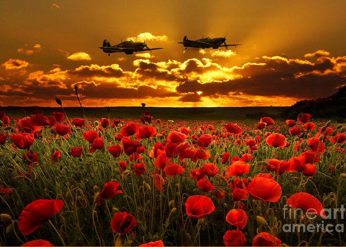 Supermarine Greeting Card featuring the digital art Sunset Poppies Fighter Command by Airpower Art