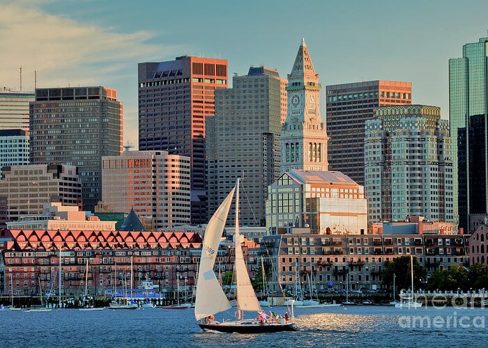 Boat Greeting Card featuring the photograph Sunset Sails on Boston Harbor by Susan Cole Kelly