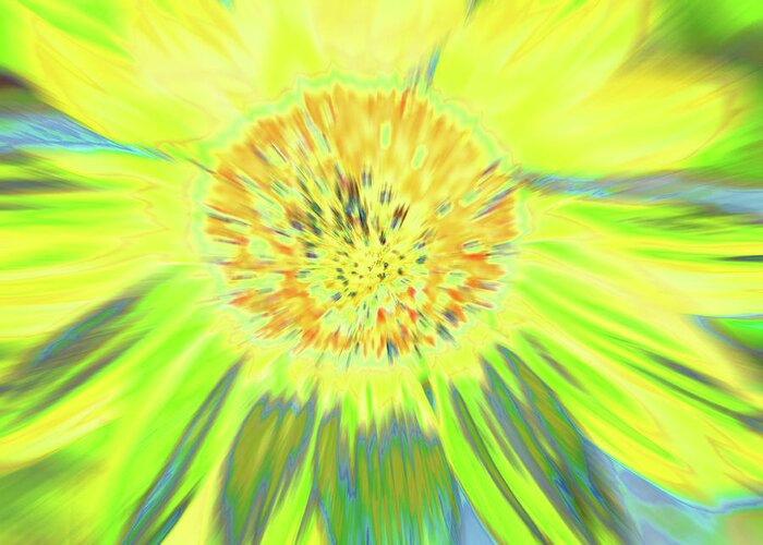 Sunflowers Greeting Card featuring the photograph Sunshake by Cris Fulton