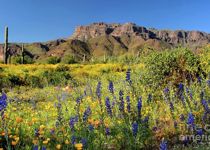 Gold Canyon Greeting Card featuring the photograph Superstition Mountains with Lupine and Poppies by Joanne West