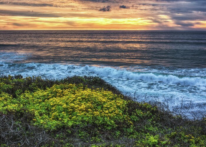 Flowers Greeting Card featuring the photograph Surf and Turf by Jason Roberts