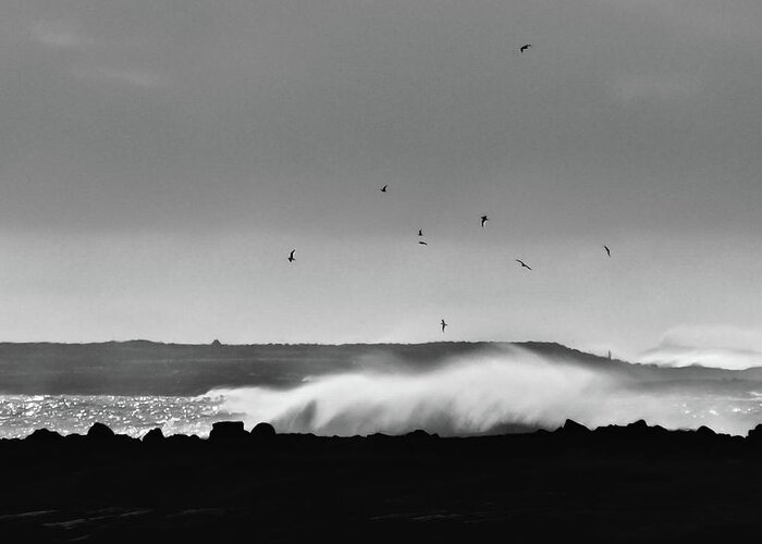 B & W Greeting Card featuring the photograph Surf Birds by Geoff Smith