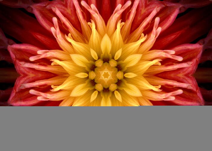 Surreal Greeting Card featuring the photograph Surreal Flower No.1 by Andrew Giovinazzo