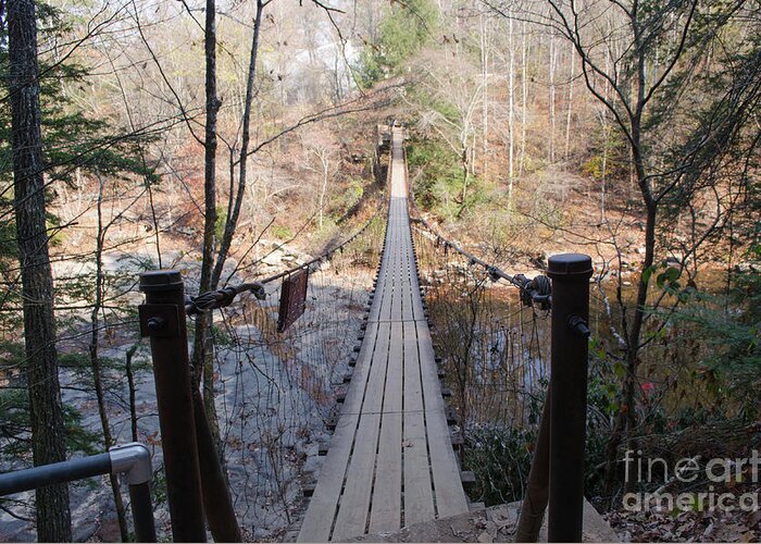 Bridge Greeting Card featuring the photograph Suspension Bridge At Fall Creek Falls State Park by Donna Brown