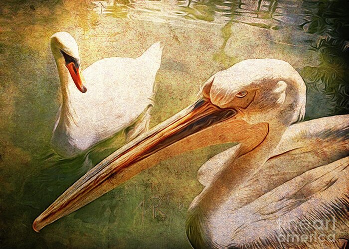 Animal Greeting Card featuring the painting Swan and Pelican by Horst Rosenberger