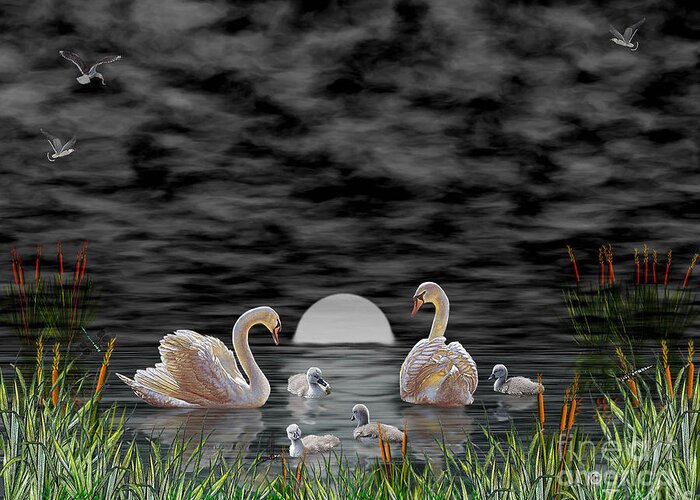 Swan Greeting Card featuring the digital art Swan Family by Terri Mills