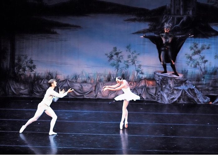 Ballet Greeting Card featuring the photograph Swan Lake 12 by Bill Howard