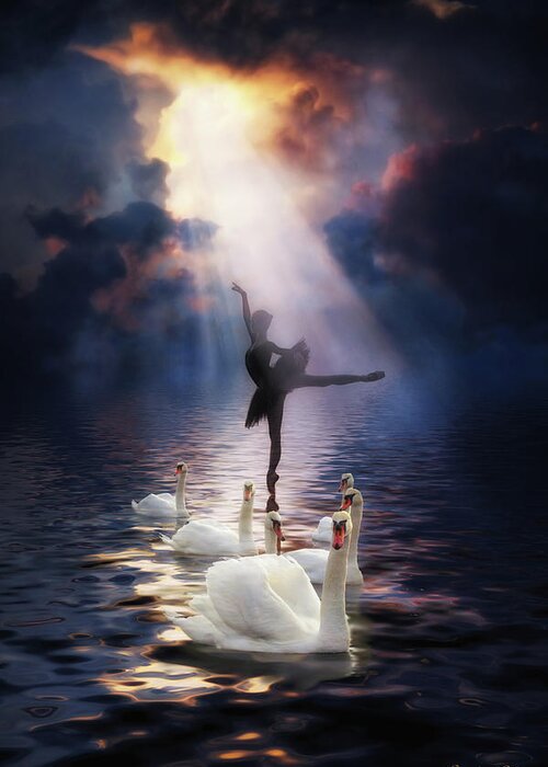 Swan Lake Greeting Card featuring the digital art Swan Lake by Lilia D