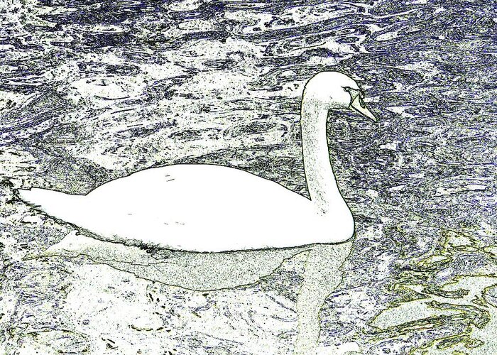Swan Greeting Card featuring the photograph Swan sketch by Manuela Constantin