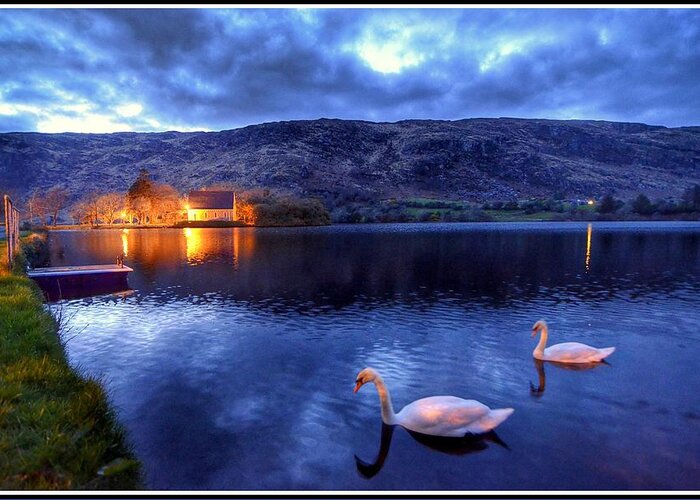 Swans Greeting Card featuring the photograph Swans At Gougane Barra by Joe Ormonde