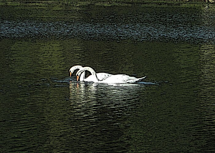 Swans Greeting Card featuring the photograph Swans by Kevin Caudill