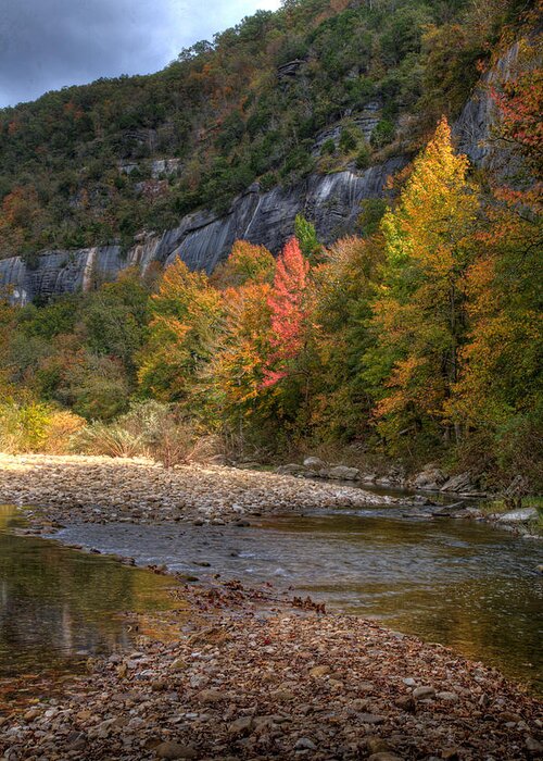 Fall Color Greeting Card featuring the photograph Sweetgums at Steel Creek by Michael Dougherty