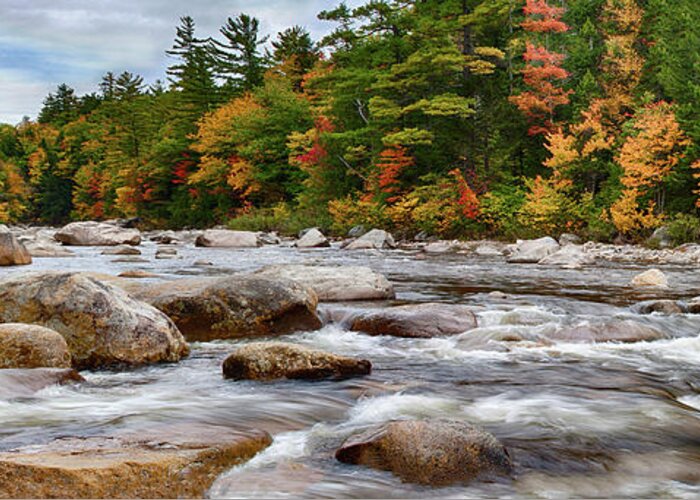 Albany New Hampshire Greeting Card featuring the photograph Swift River runs through fall colors by Jeff Folger