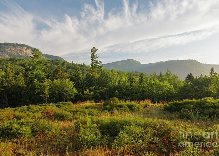 Albany Greeting Card featuring the photograph Table Mountain - Kancamagus Scenic Byway, New Hampshire by Erin Paul Donovan