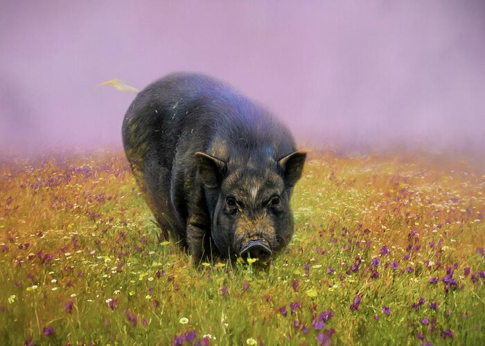 Jai Johnson Greeting Card featuring the photograph Take Time To Smell The Flowers Pot Bellied Pig Art by Jai Johnson