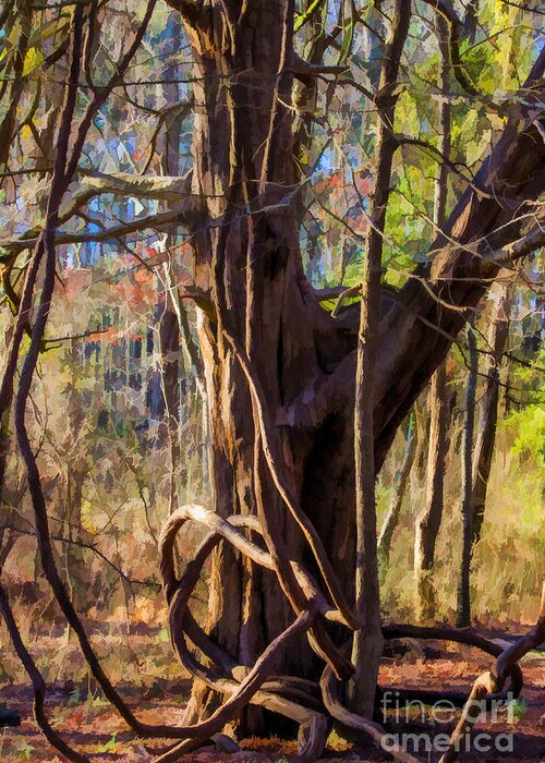 Tangled Greeting Card featuring the photograph Tangled Vines on Tree by Roberta Byram