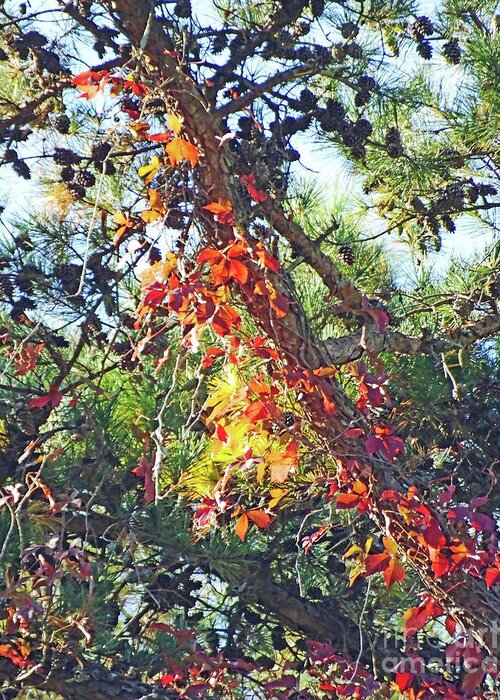 Trees Greeting Card featuring the photograph Tanglewood Autumn Flora by Lizi Beard-Ward