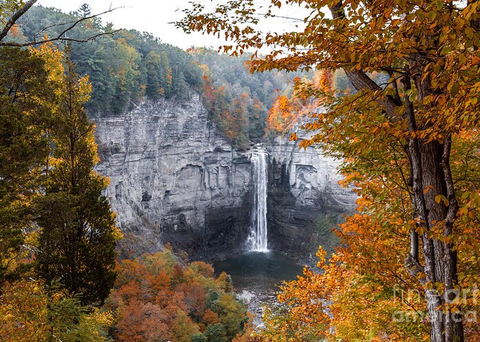 Water Greeting Card featuring the photograph Taughannock Autumn by William Norton