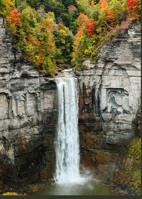 Taughannock Falls Greeting Card featuring the photograph Taughannock Falls in Autumn by Mindy Musick King