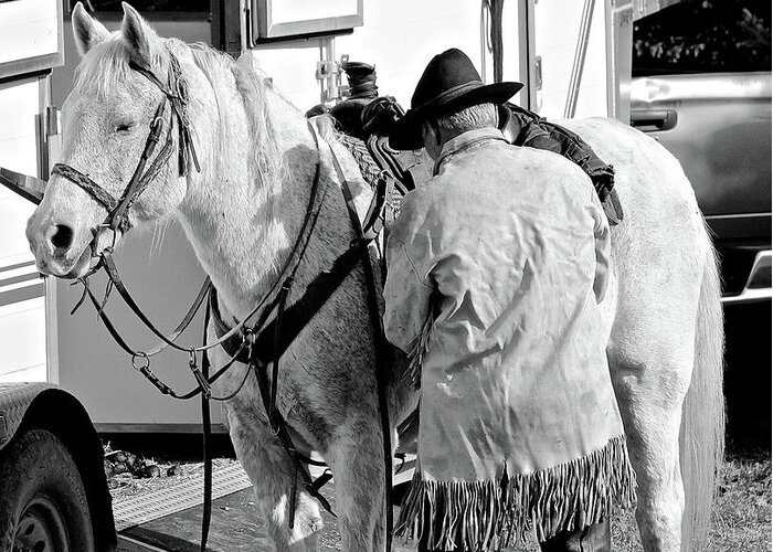 Horse Greeting Card featuring the photograph Team by Ann E Robson