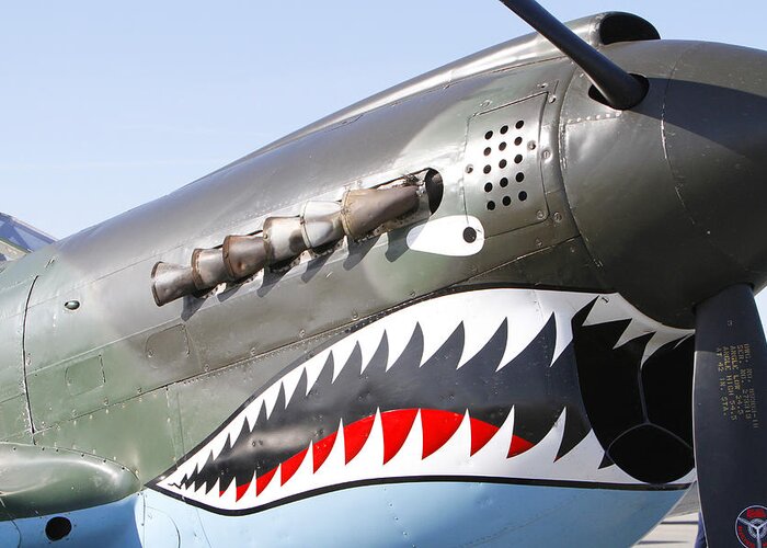 P-40d Warhawk Greeting Card featuring the photograph Teeth of the P-40 by Shoal Hollingsworth