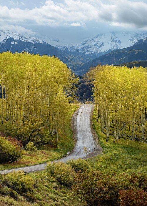 Telluride Greeting Card featuring the photograph Telluride Road by Aaron Spong