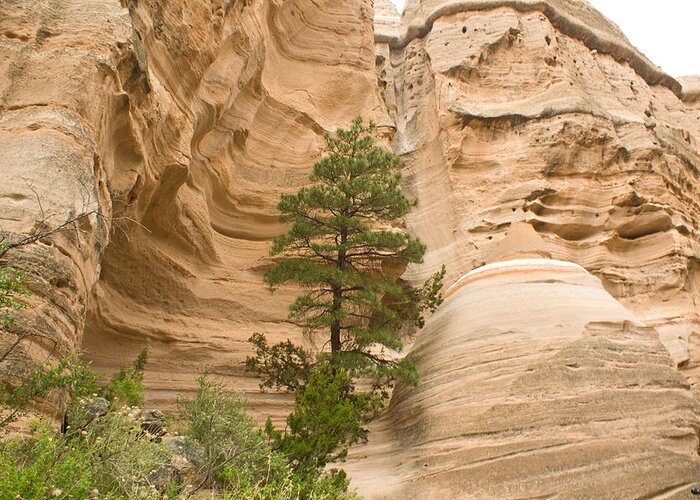 Tent Rock Greeting Card featuring the photograph Tent Rock NM View by James Gay