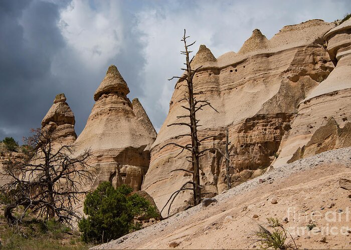 Kasha-katuwe Tent Rocks National Monument Greeting Card featuring the photograph Tent Rock Trail Landscape One by Bob Phillips