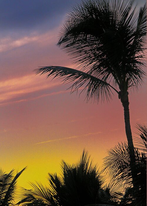 Sunrise Greeting Card featuring the photograph Tequila Sunrise - Key West by Frank Mari
