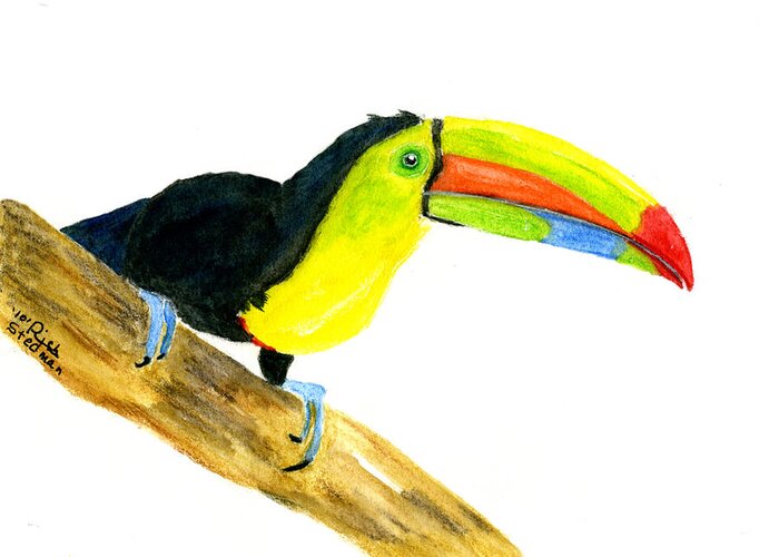 Toucan Greeting Card featuring the painting Terry Toucan by Richard Stedman