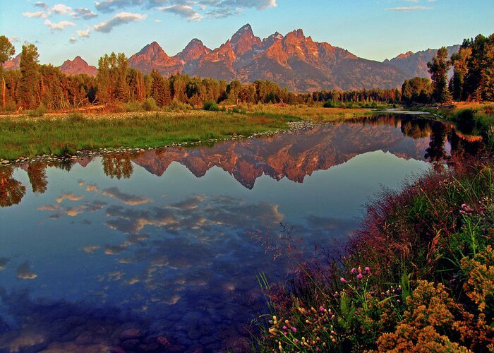 Mountains Greeting Card featuring the photograph Teton Wildflowers by Scott Mahon