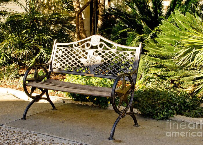 Bench Greeting Card featuring the photograph Texas Bench by Elena Perelman