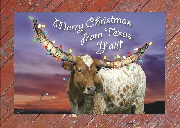 Texas Greeting Card featuring the photograph Texas Longhorn Christmas Card by Robert Anschutz