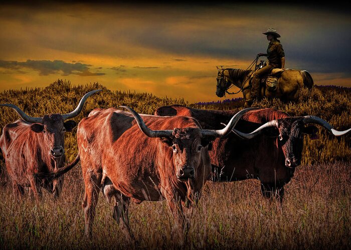 Longhorn Greeting Card featuring the photograph Texas Longhorn Steers and Cowboy at Sunset by Randall Nyhof