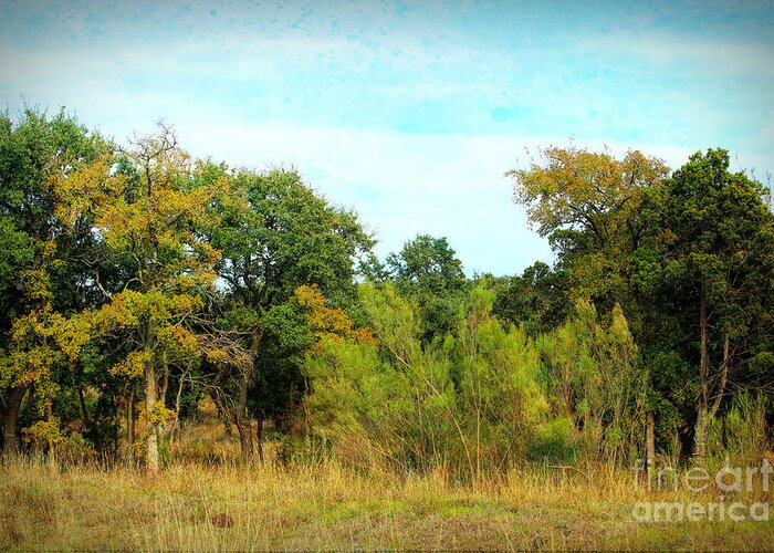 Nature Greeting Card featuring the photograph Texas Woods by Linda Phelps