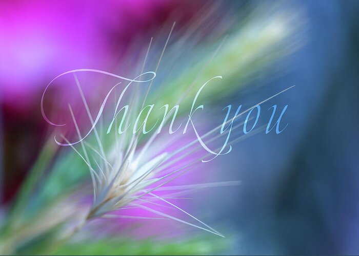 Thank You Greeting Card featuring the digital art Thank you 5 by Terry Davis