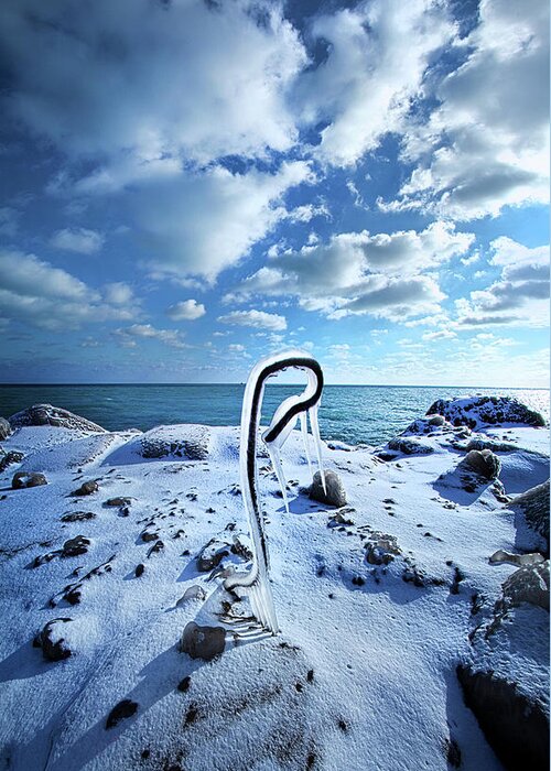 Snow Greeting Card featuring the photograph That One Weird Thing by Phil Koch