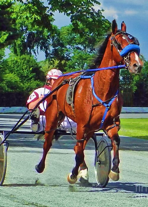 Standardbred Greeting Card featuring the photograph The Backstretch by Carol Randall