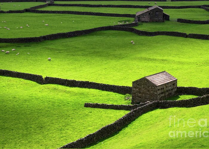 2016 Greeting Card featuring the photograph The Barns at Gunnerside in Swaledale by Richard Burdon