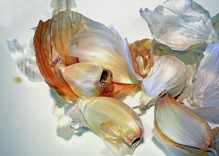Garlic Greeting Card featuring the photograph The Beauty of Garlic by Lynda Lehmann