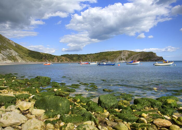 Dorset Greeting Card featuring the photograph The beauty of Lulworth Cove by Ian Middleton