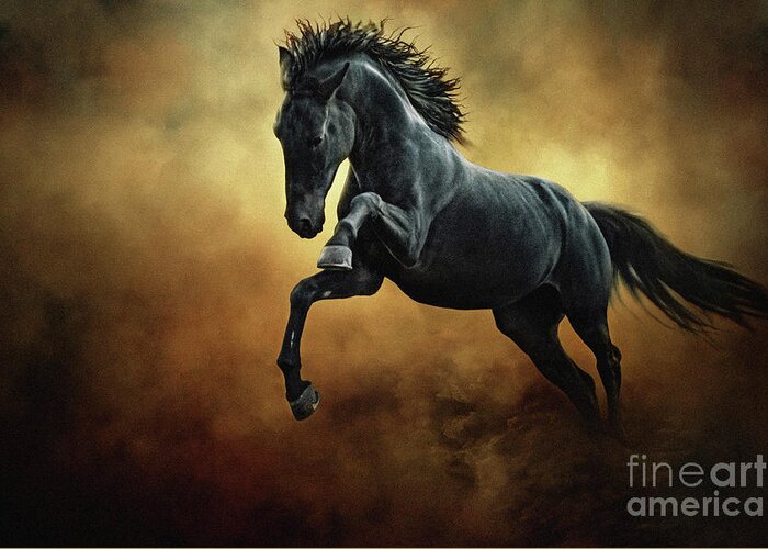 Horse Greeting Card featuring the photograph The Black Stallion in Dust by Dimitar Hristov
