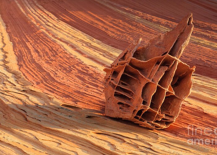 Bizarre Greeting Card featuring the photograph The Bone Yard in the North Coyote Buttes, Arizona by Henk Meijer Photography