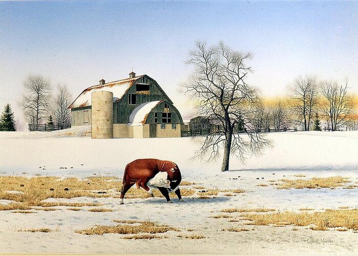 Cow Greeting Card featuring the painting The Bull's Itch by Conrad Mieschke