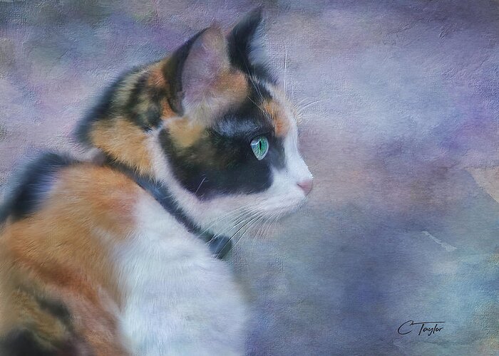 Cat Greeting Card featuring the digital art The Calico Staredown by Colleen Taylor