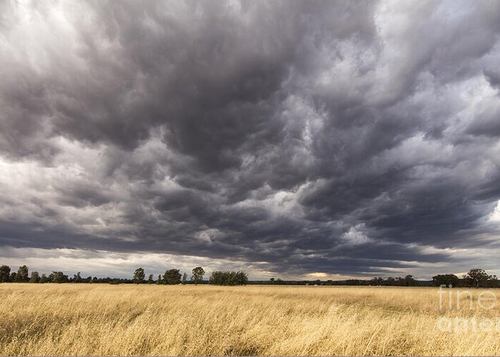 Sky Greeting Card featuring the photograph The calm before the storm by Linda Lees