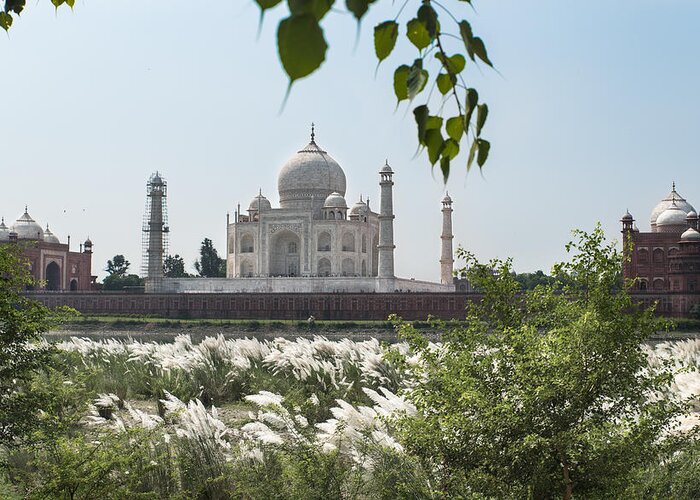 Agra Greeting Card featuring the photograph The Calm behind the Taj Mahal by Art Atkins